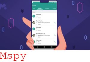 Mspy Grzybiarzy